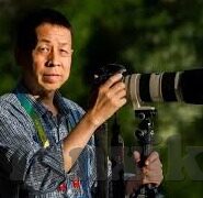 91人妻呻吟久久-探索人性的隐秘角落，91人妻呻吟背后的情感世界