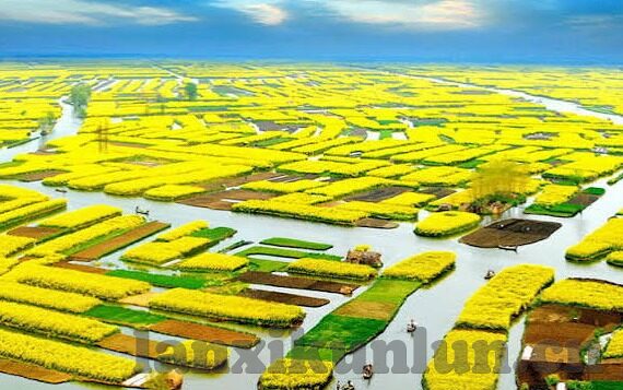 麻豆APP官方下载地址-体验高品质色性内容新纪元 —— 麻豆APP官方下载之道