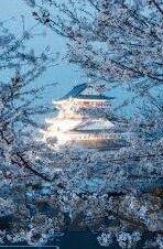 麻豆国产成人av一区二区三区-麻豆国产成人AV内容分析，文化、伦理与边界