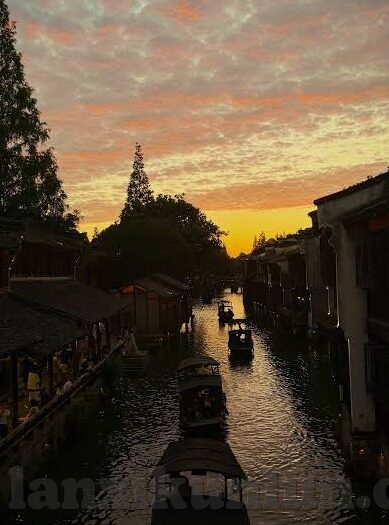 哪个网站可以看成人视频-成人视频的合法观看平台，安全与隐私的平衡